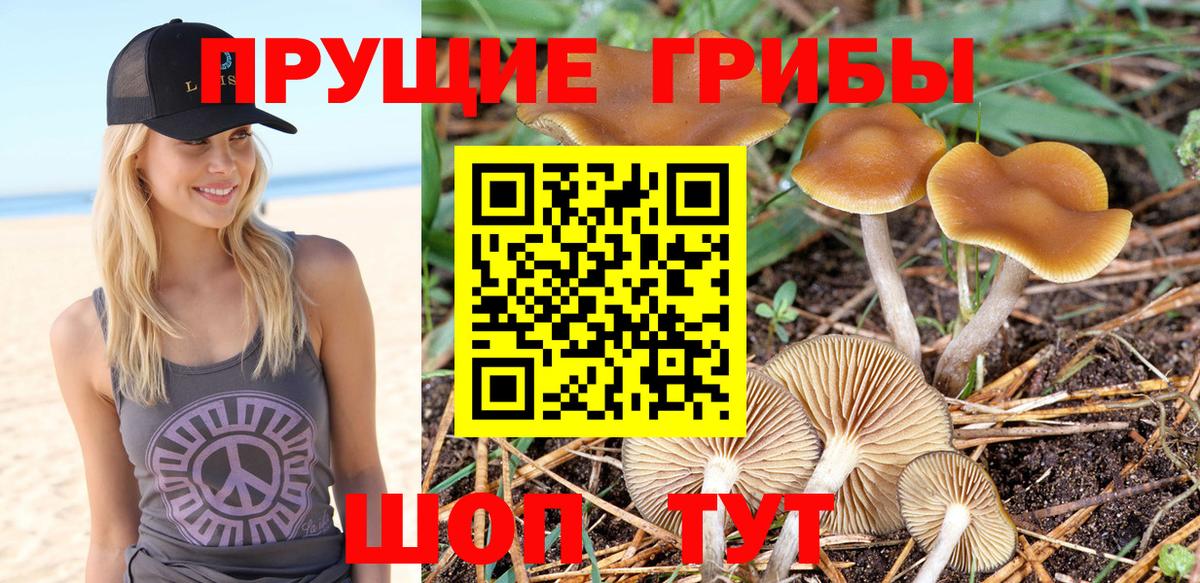Кропоткин  Галлюциногенные грибы Psilocybe  Псилоцибиновые грибы MAGIC MUSHROOMS  Вход с VPN 