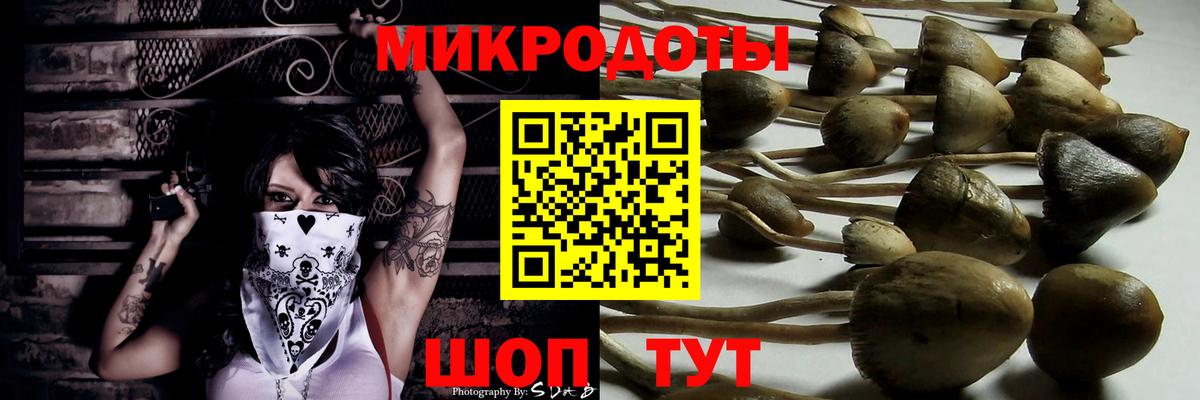 Псилоцибиновые грибы Cubensis Кропоткин